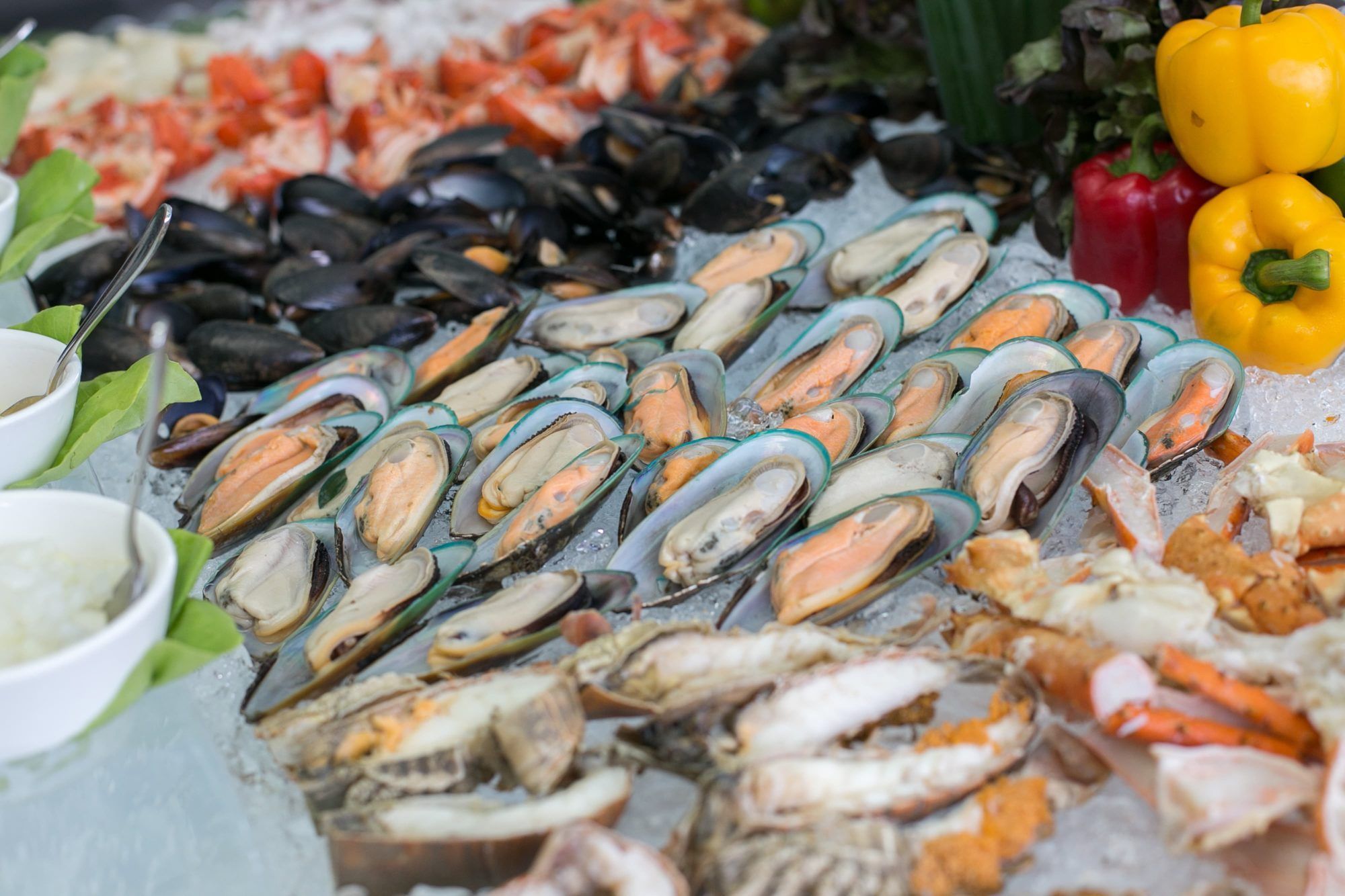 Local Restaurants City Sider Cairns