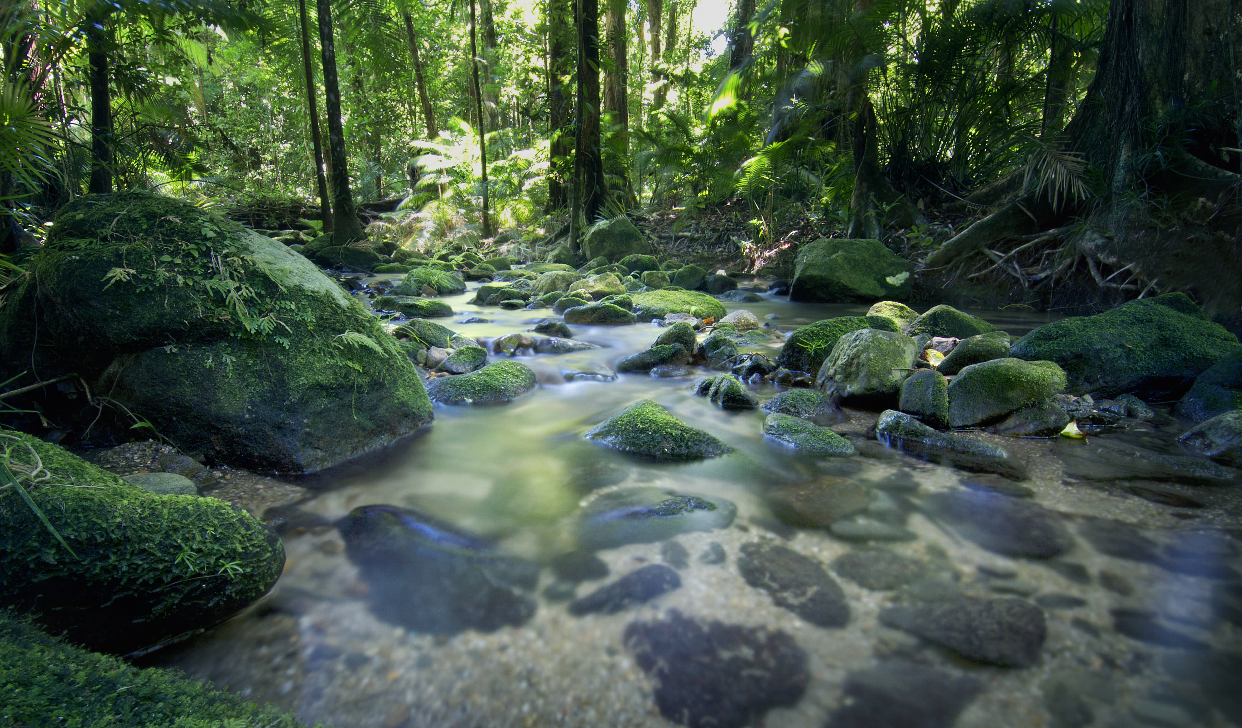 cairns-tours-and-attractions-city-sider-cairns